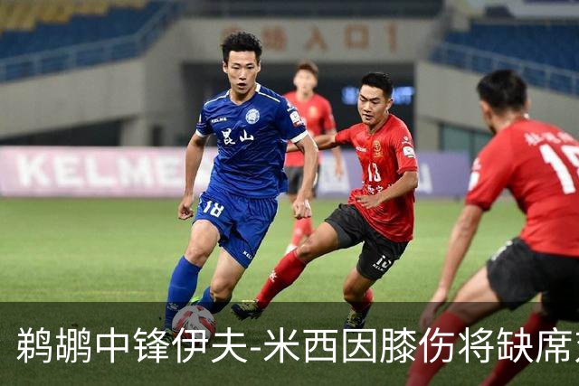 鹈鹕中锋伊夫-米西因膝伤将缺席对阵掘金